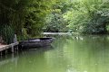 (11) Le Marais Poitevin